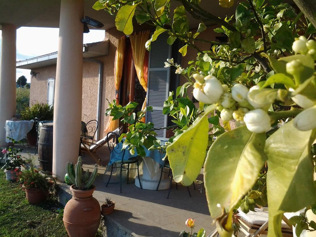 Guest House Villa Di Judighes Cerveteri Exterior photo