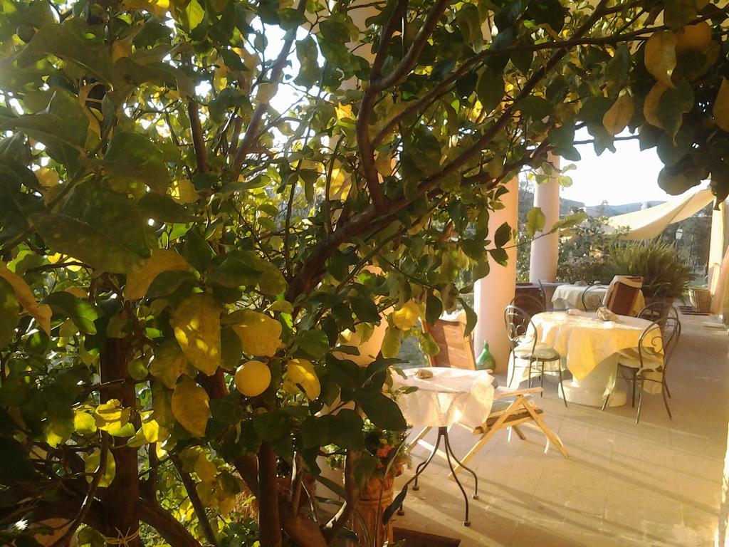 Guest House Villa Di Judighes Cerveteri Exterior photo