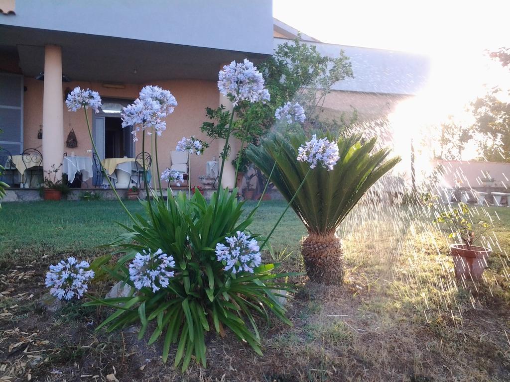 Guest House Villa Di Judighes Cerveteri Exterior photo